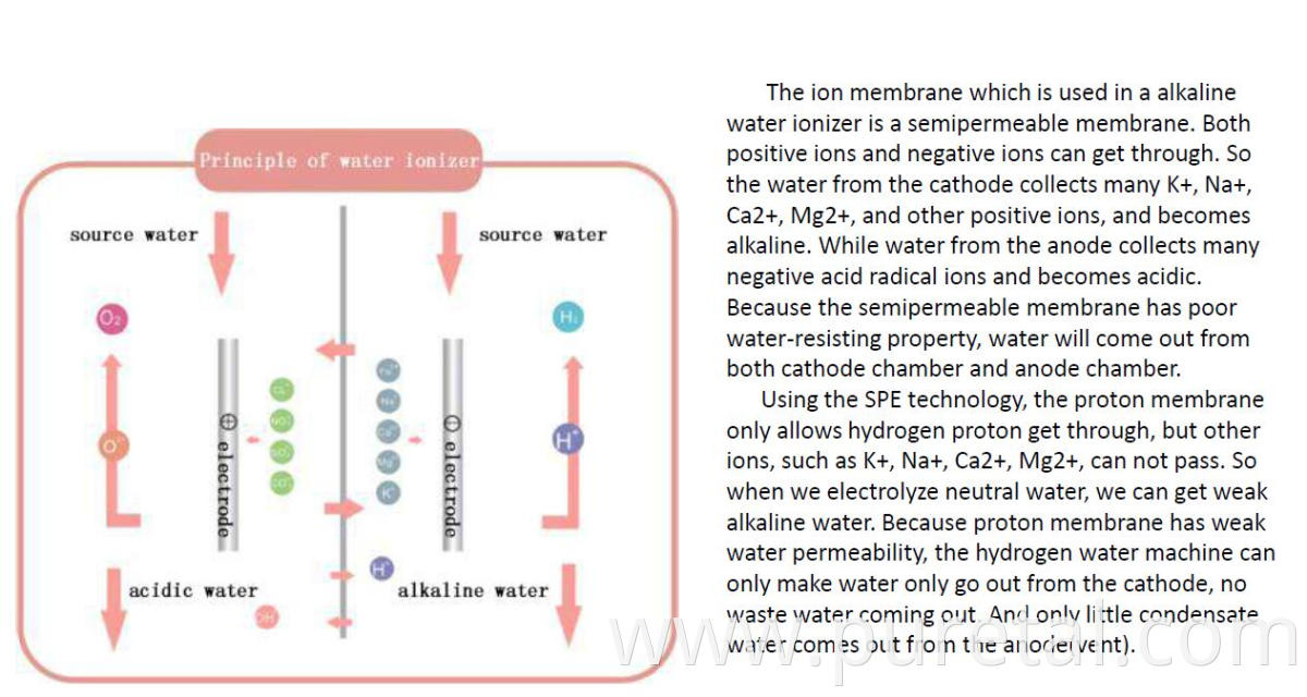 Japan 11plate kangen hydrogen water machine alkaline water ionizer